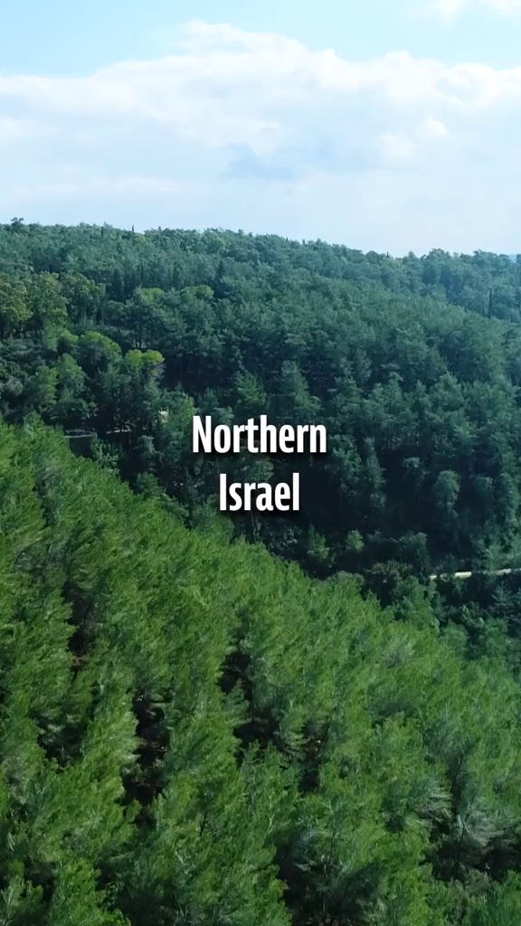 Capa do vídeo